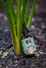 Load image into Gallery viewer, Earth Beard Oil